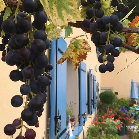 La Mesange Bleue B&B